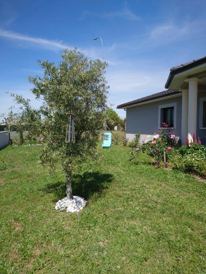 Le Bonheur A Portee De Mains Bergerac Ngoại thất bức ảnh