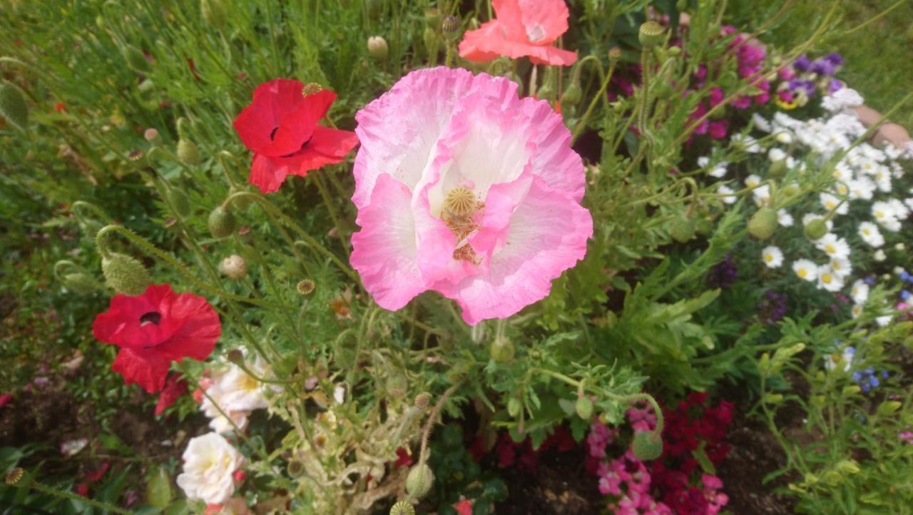 Le Bonheur A Portee De Mains Bergerac Ngoại thất bức ảnh