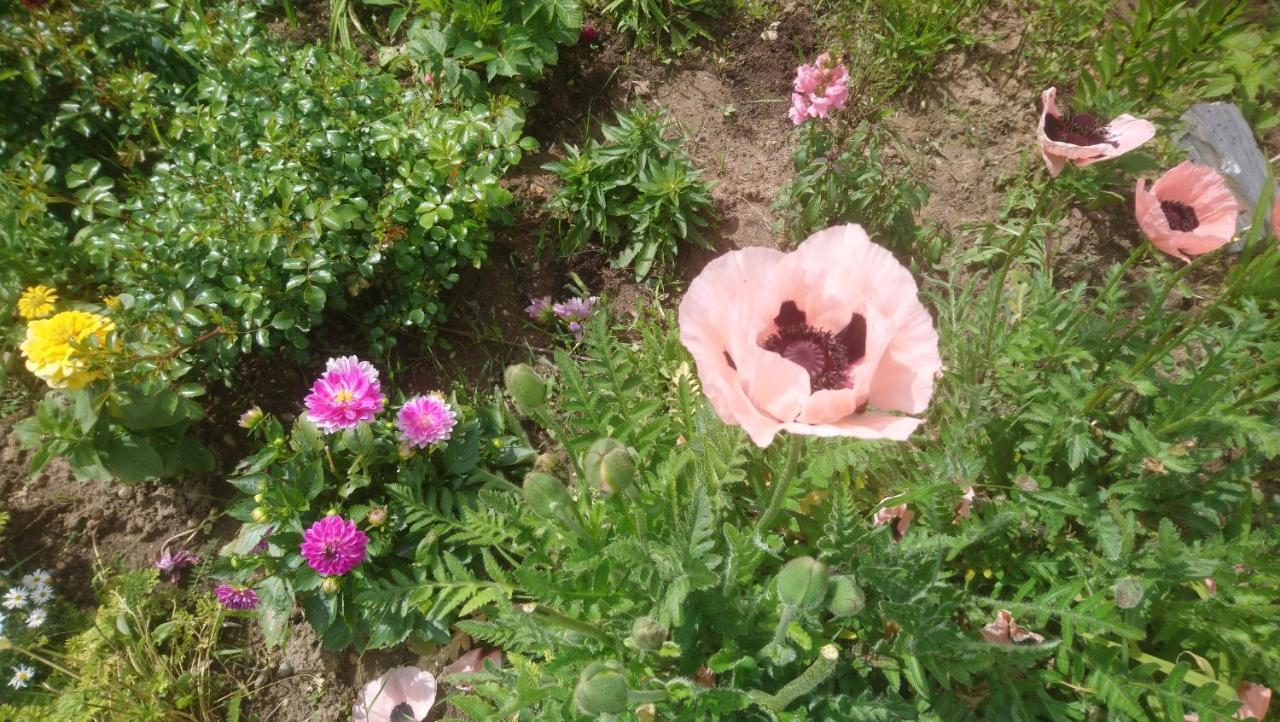 Le Bonheur A Portee De Mains Bergerac Ngoại thất bức ảnh